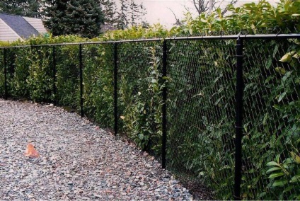 gard de plasă de plastic cu mâinile lor (foto) (mesh) gard de plasă de plastic cu mâinile lor (foto)