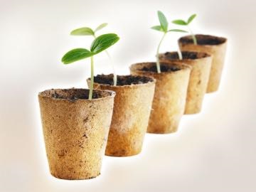 CITEȘTE plata în avans de ambele - pentru a fi cu avans revista TVA „registrul», № 19 din 2011 (în avans) CITEȘTE plata în avans de ambele - pentru a fi cu avans revista TVA „registrul», № 19 pentru anul 2011