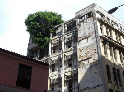 Pofta de viata, sau ca o rădăcină pauze prin asfalt (poansoane) Pofta de viata, sau ca o rădăcină pauze prin asfalt