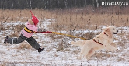 Animale pentru copii, site-ul pentru mame (copii) Animale pentru copii, site-ul pentru mame