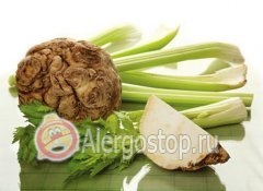 Alergia la telina - alergie la adulți (țelină) Alergia la telina - alergie la adulți