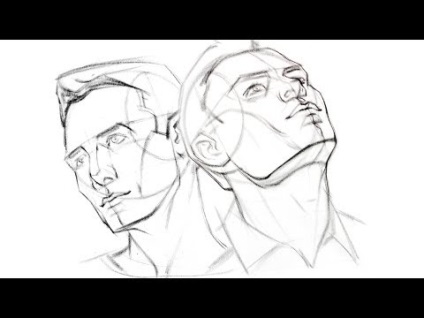 Anatomia oaselor (video) Anatomia oaselor