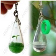 Keychains cu plante vii (accesorii de moda) Keychains cu plante vii