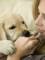 Decât pentru tratamentul diareei la câini (tratate) Decât pentru tratamentul diareei la câini