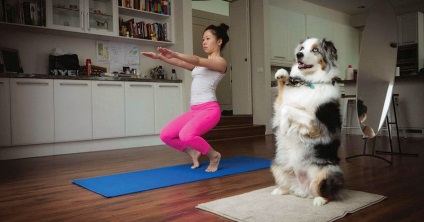 Yoga este util pentru femei și dăunătoare (utilă) Yoga este util pentru femei și nocive