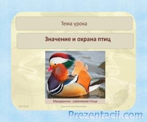 Ce știm despre păsările (publicul) Ce știm despre păsări