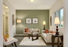 Culoarea peretilor din tonul fotografie camera de zi pentru interior și culorile întuneric, pentru a alege cele mai bune flori ca (foto) Culoarea peretilor din tonul fotografie camera de zi pentru interior și culorile întuneric, pentru a alege cele mai bune flori ca
