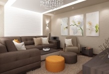 Culoarea peretilor din tonul fotografie camera de zi pentru interior și culorile întuneric, care alege cele mai bune culori, cum ar fi (interior) Culoarea peretilor din tonul fotografie camera de zi pentru interior și culorile întuneric, pentru a alege cele mai bune flori ca