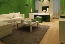 Culoarea peretilor din tonul fotografie camera de zi pentru interior și culorile întuneric, care alege cele mai bune culori, cum ar fi (de culoare) Culoarea peretilor din tonul fotografie camera de zi pentru interior și culorile întuneric, pentru a alege cele mai bune flori ca