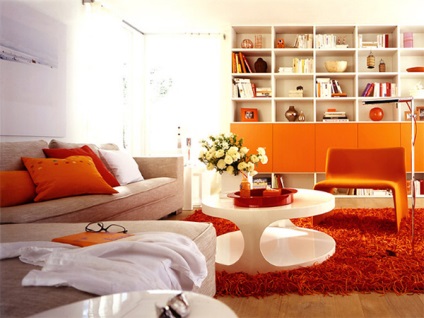Culoarea în interiorul camera de zi (foto) (culoare) Culoarea în interiorul camera de zi (foto)