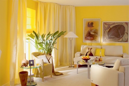 Culoarea în interiorul camera de zi (foto) (camera de zi) Culoarea în interiorul camera de zi (foto)