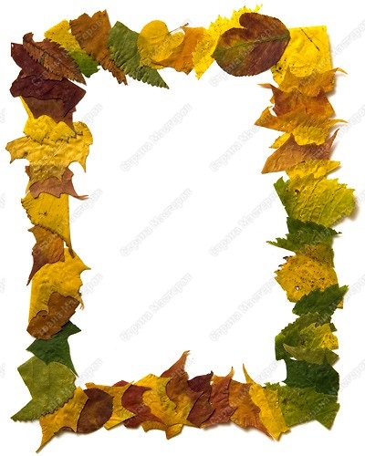 Copii! Iris frunze de pliere (frunză) Copii! Iris frunze de pliere