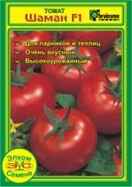Semințe de Elcom - semințe din Olanda (determinat foarte timpuriu) semințe Elcom - semințe din Olanda