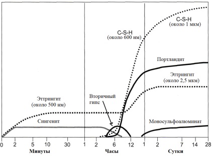 Hidratarea cimentului (cristale de hydrosilicate de calciu) Hidratarea cimentului