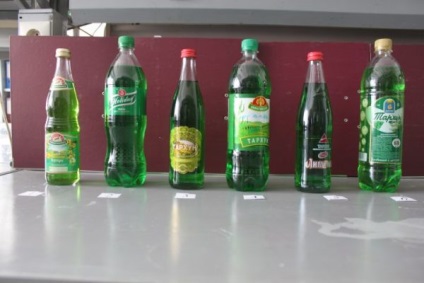 Ce - tarhon - cele mai delicioase (de atenție și copiilor) Ce - tarhon - cel mai delicios