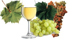 Cocktail-uri de vin roșu și alb (alb) Cocktail-uri de vin roșu și alb