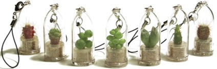 Cumpara Breloc cu planta (plante) Cumpara keychain cu plante