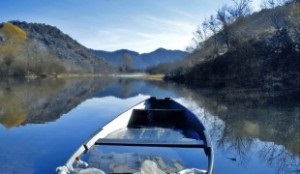 Prinde pește cu ajutorul unui păianjen „(a se familiariza cu ușurare) Prinde pește cu ajutorul unui păianjen