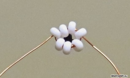 Ursul Bead - Circuit master class (nouă perle maro) Ursul șirag de mărgele - Circuit clasa de master