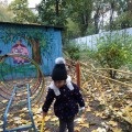 Bird watching „(studiu) Ornitologie