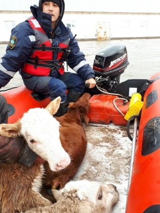 Pe România se mută de apă de mare Kazahstan - Regnum ia (Ishim râu Ishim) Pe România se mută de apă de mare Kazahstan - Regnum, printre altele,