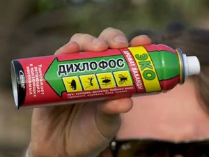 Prezentare insecticide (Fitoverm Akarin Agrovertin) Privire de ansamblu de insecticide