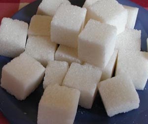 Substanțe organice (substanță) substanțe organice