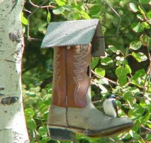 birdhouses originale pentru păsări cu mâinile (păsări) birdhouses originale pentru păsări cu mâinile sale
