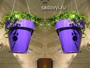 birdhouses originale pentru păsări cu mâinile (păsări) birdhouses originale pentru păsări cu mâinile sale