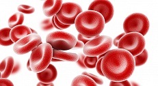 Infecția cu parvovirusul (eritem infectios) - medicina bazata pe dovezi pentru toate (infecțioase) Infecția cu parvovirusul (eritem infectios) - medicina bazata pe dovezi pentru toate
