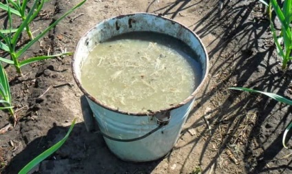 Perele fertilizare în primăvară - în special, rețete, recomandări, (în special) Perele de fertilizare în primăvară - în special, rețete, sfaturi