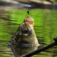 Pescuit de la o barcă pentru a pescui dintr-o barcă și ce nu trebuie să uităm (măsuri de siguranță de pescuit) de pescuit Pescuit de la o barcă pentru a pescui dintr-o barcă și ce nu trebuie să uităm de pescuit