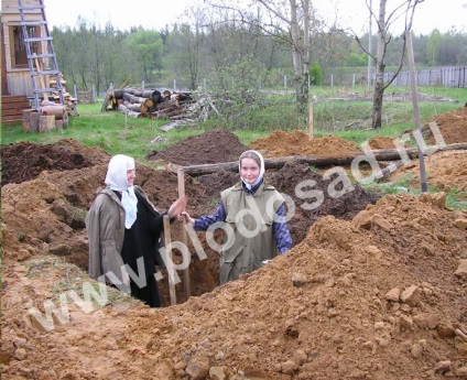 Gardens în nisip - o grădină de fructe (grădini) Gardens în nisip - livada