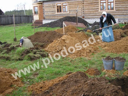 Gardens în nisip - livada (nisip) Gardens în nisip - livada