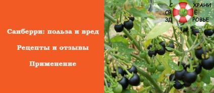 Sunberry proprietăți utile și contraindicații, rețete și recenzii (bune) Sunberry proprietăți utile și contraindicațiile, rețete și recenzii