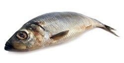 calorii hering și proprietăți utile - noroc (hering) Hering calorii și proprietăți utile - noroc
