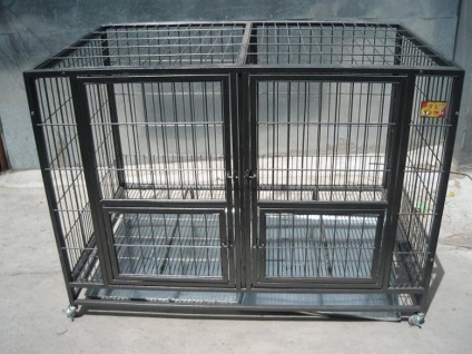 Skunk, care nu miroase (mirosind Skunk) Skunk, care nu miroase