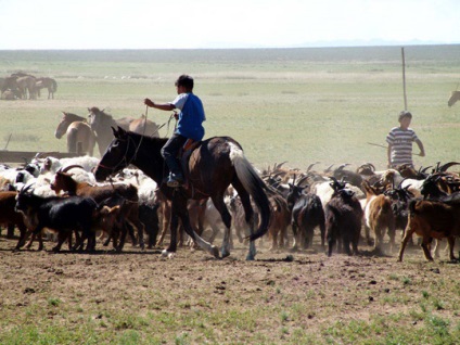 Stepa, peisaje de stepă (51 imagini), imagini (fotografii) Stepa, peisaje de stepă (51 poze) Fotografii