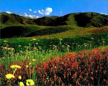 Stepa, peisaje de stepă (51 poze) poze (peisaje) Stepa, peisaje de stepă (51 poze) Fotografii