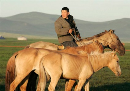 Stepa, peisaje de stepă (51 poze) Poze (stepa) Stepa, peisaje de stepă (51 poze) Fotografii