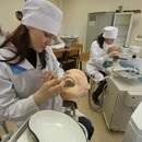 Stomatologie SibSMU (SibSMU) Stomatologie SibSMU