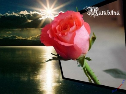 Tanya, Tanya, nume de imagine (Tanya) Tanya, Tanya, poze cu nume