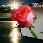 Tanya, Tanya, nume de imagine (Tanya) Tanya, Tanya, poze cu nume