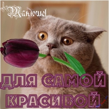 Tanya, Tanya, nume de imagine (Tanya) Tanya, Tanya, poze cu nume