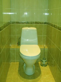 Toaletă de Feng Shui - toate caracteristicile de amenajare (WC Feng Shui) Toaletă de Feng Shui - toate caracteristicile de aranjament