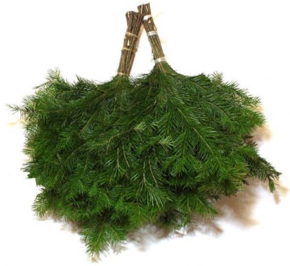 Broom pentru o baie (baie) Mătură pentru baie