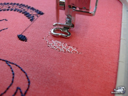 Broderie pe ac lenjerie de aripi (ac) Broderie pe ac înaripat lenjerie