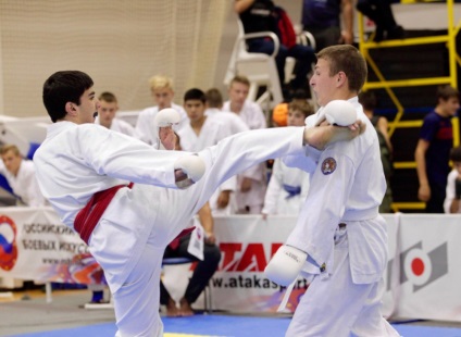 Vsestilivoe Karate (București) Vsestilivoe karate