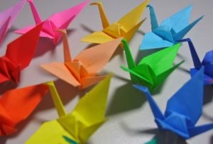 fapte interesante macara, seria interesantă (macara) Crane fapte interesante și aproape interesante