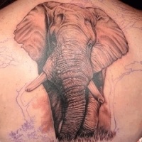 Înțeles elefant tatuaj (tatuaje) Înțeles elefant tatuaj